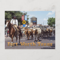 Memorable Fort Worth Texas Cattle Drive Postcard
