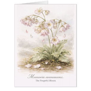 Memoria Evanescens – The Forgetful Bloom Botanical Card