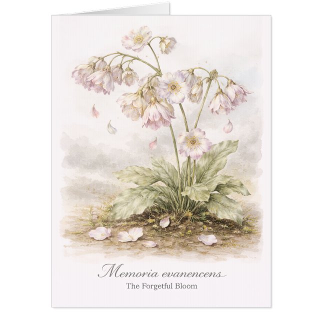 Memoria Evanescens – The Forgetful Bloom Botanical Card (Front)