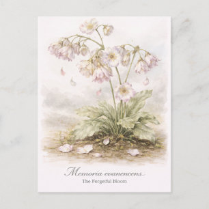 Memoria Evanescens – The Forgetful Bloom Botanical Postcard