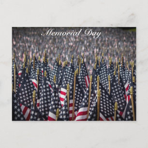 Memorial Day American Flags Postcard