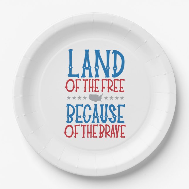 Memorial Day Veteran's Day Patriotic  Paper Plates (Front)