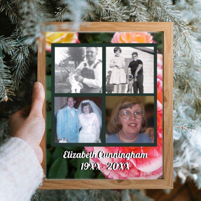 Memorial Four Photos of Loved One on Rose Photo Poster (Creator Uploaded)