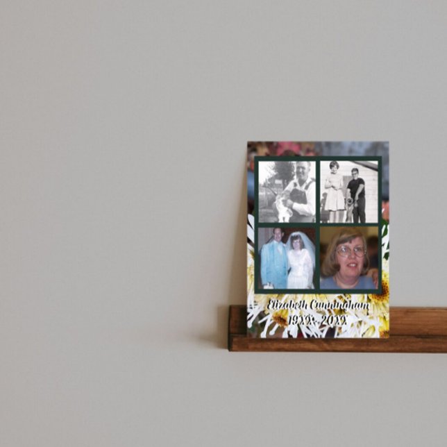 Memorial Four Photos White Spider Mums Photo Poster (Creator Uploaded)