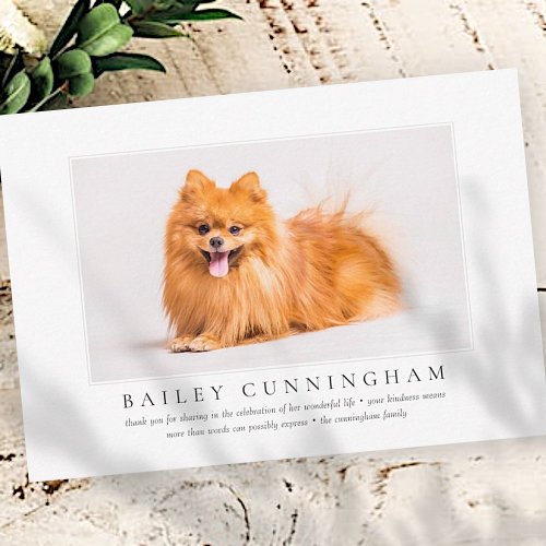 Memorial Funeral For Pet Elegant Chic Modern Photo Thank You Card