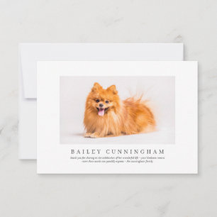 Memorial Funeral For Pet Elegant Modern Photo Thank You Card