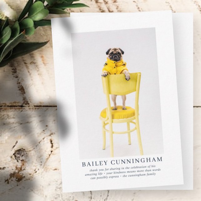 Memorial Funeral For Pet | Elegant Modern Photo Thank You Card (Creator Uploaded)