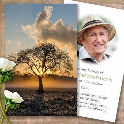 Memorial Funeral Lone Tree Prayer Sympathy Cards