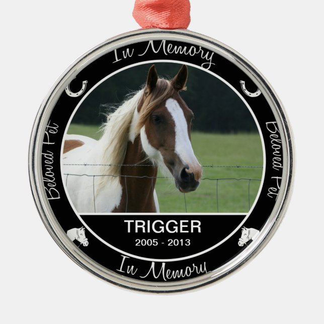 Memorial - Loss of Horse - Custom Photo/Name Metal Ornament (Front)