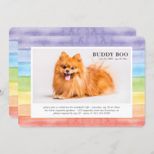 Memorial Modern Watercolor Rainbow Pet Photo Invitation