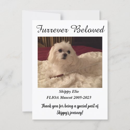 Memorial Pet Postcard Announcement