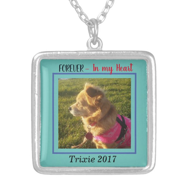 memorial RIP customizable pet necklace (Front)