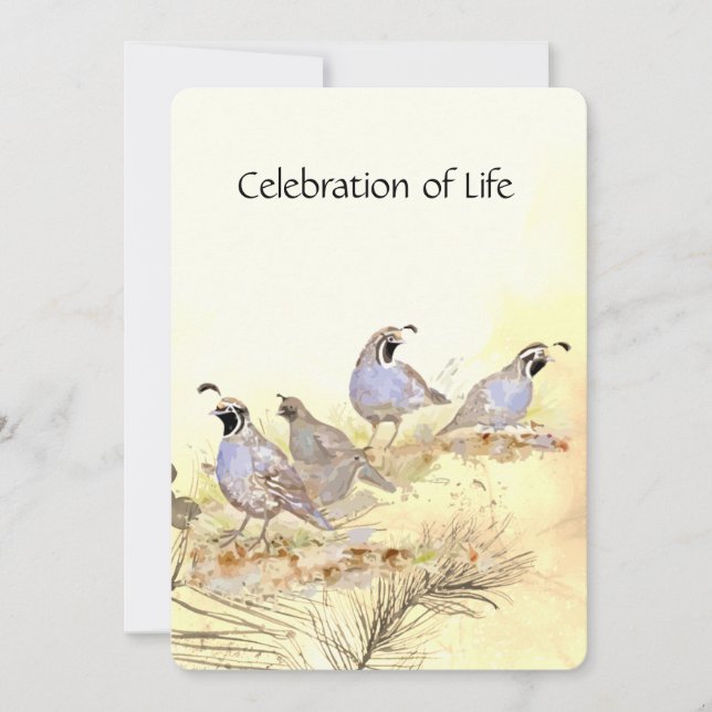 Memorial Service  California Quail Bird Group Invitation (Front)