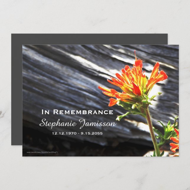Memorial Service Invitation, Indian Paintbrush Invitation (Front/Back)