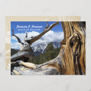 Memorial Service Invitation Mountain, Tree Custom