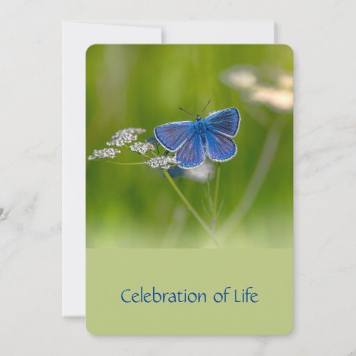 Memorial Service Invite Blue Butterfly Garden