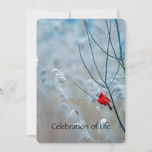 Memorial Service Invite Cardinal Red Bird