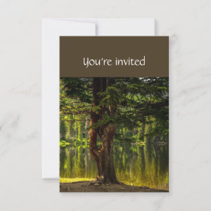 Memorial Service Invite Lake Tree Shore Nature