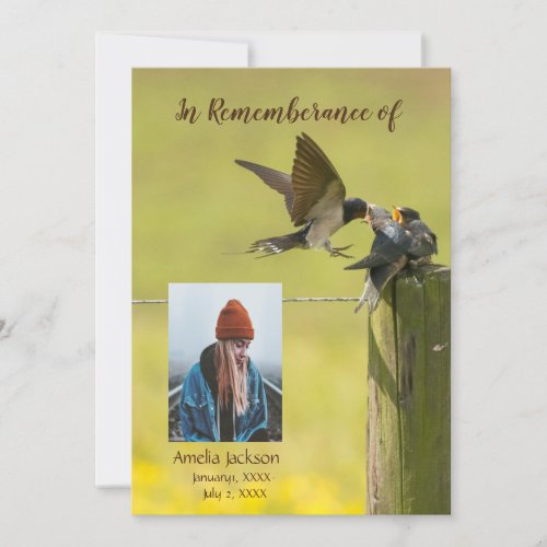 Memorial Service Invite Swallow Bird Watcher 