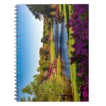 Memories in Motion: A Spiral Photo Notebook