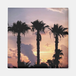 Memories of Palm Trees at Sunset | Limassol Cyprus Magnet