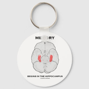 Memory Begins In The Hippocampus (Psychology) Keychain