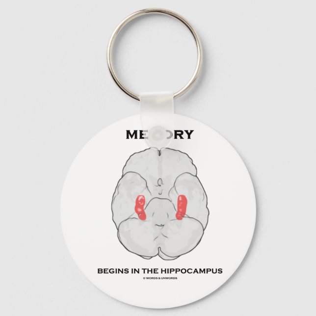 Memory Begins In The Hippocampus (Psychology) Keychain (Front)