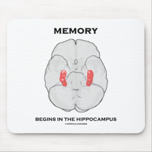 Memory Begins In The Hippocampus (Psychology) Mouse Pad