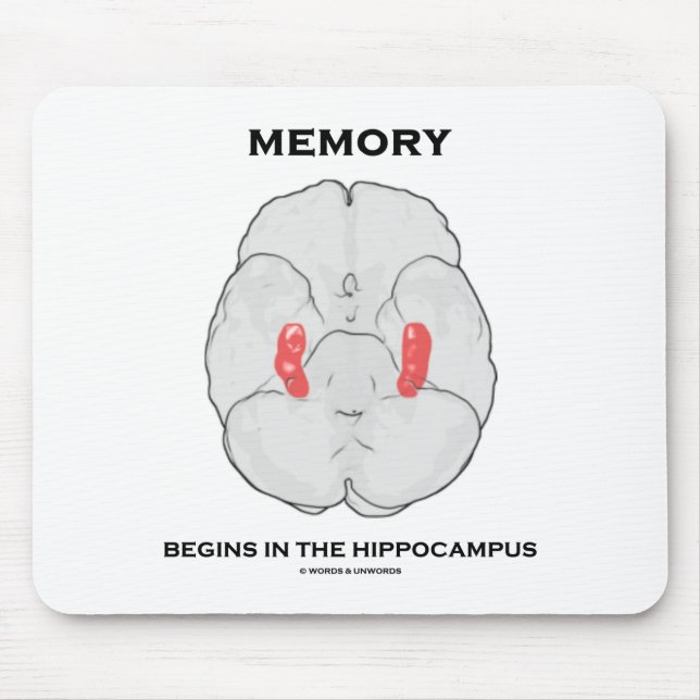 Memory Begins In The Hippocampus (Psychology) Mouse Pad (Front)