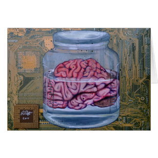 Memory Cards