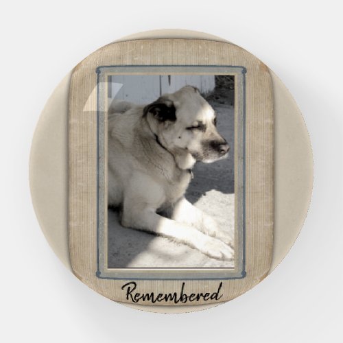 Memory of a Favorite Pet Paperweight