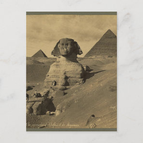 Men and Camels on the Paw of the Sphinx, Pyramids Postcard