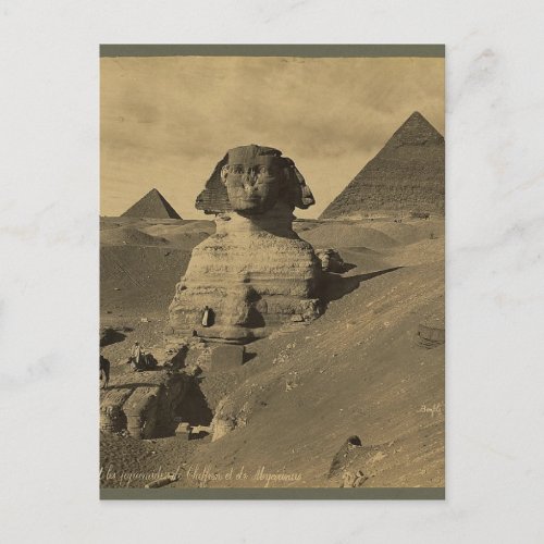 Men and Camels on the Paw of the Sphinx Pyramids Postcard