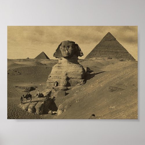 Men and Camels on the Paw of the Sphinx Pyramids Poster