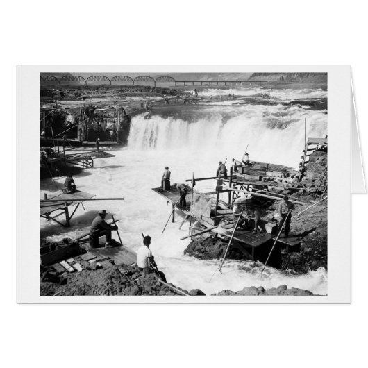 Men fishing at Celilo Falls Photograph Cards (Front Horizontal)