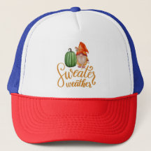 Men hats 