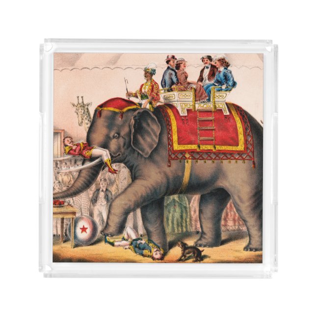 Men Performing A Circus Act With An Elephant. Acrylic Tray (Front)