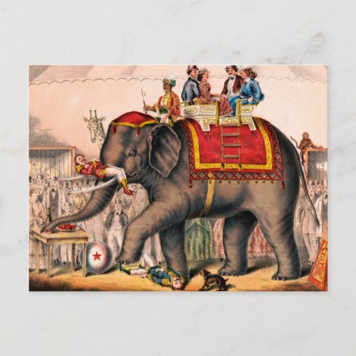 Men Performing A Circus Act With An Elephant Postcard