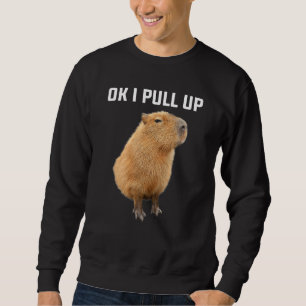 Men Women Kids Ok I Pull Up Funny Capybara costume Sweatshirt