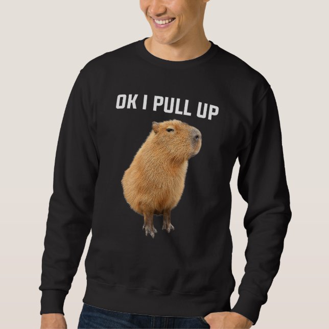Men Women Kids Ok I Pull Up Funny Capybara costume Sweatshirt (Front)