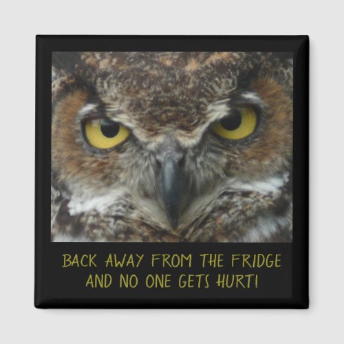 Menacing Owl Photo _ PERFECT DIET MAGNET Magnet