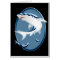 Menacing Underwater Sharks