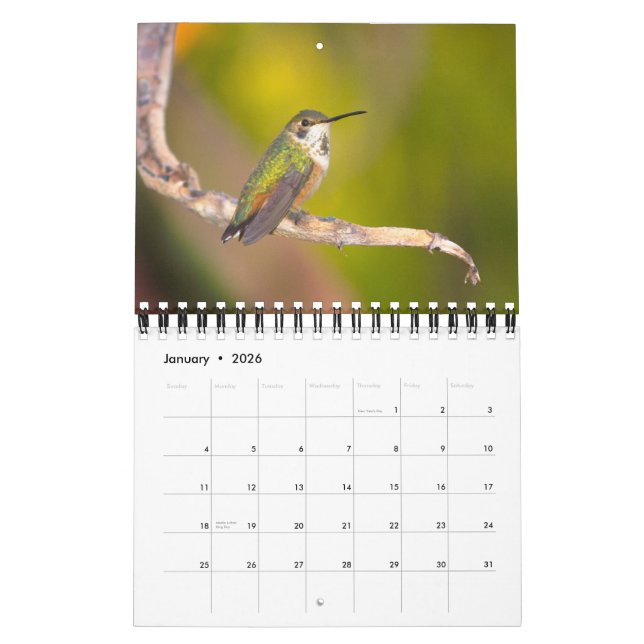 Menagerie Calendar (Jan 2026)