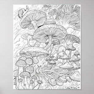 Menagerie of Mushrooms Coloring Page Poster