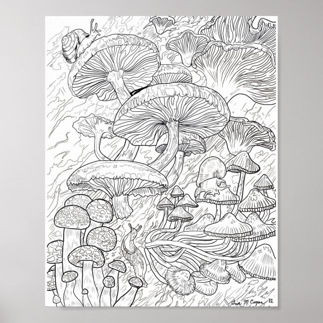 Menagerie of Mushrooms Coloring Page Poster (Front)