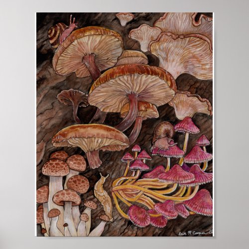 Menagerie of Mushrooms Poster