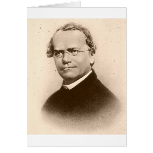 mendel cards (Front)