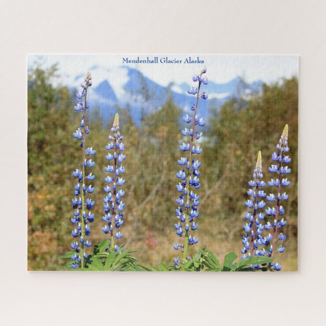 Mendenhall Glacier Alaska Jigsaw Puzzle (Horizontal)