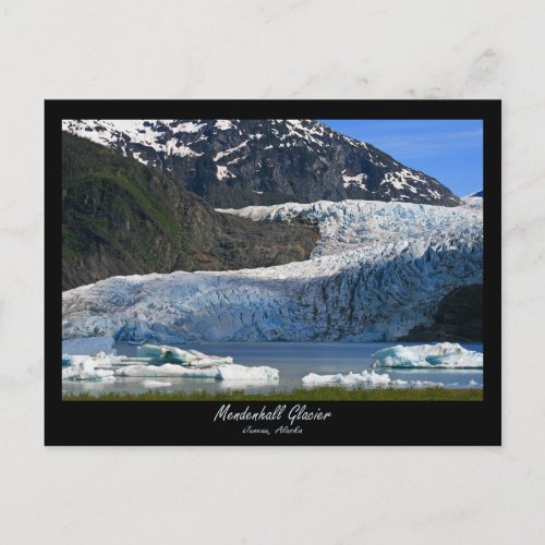 Mendenhall Glacier  Juneau Alaska Postcard