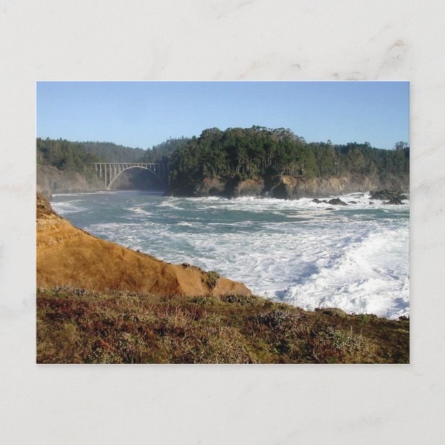 Mendocino Coast, California Postcard (Front)